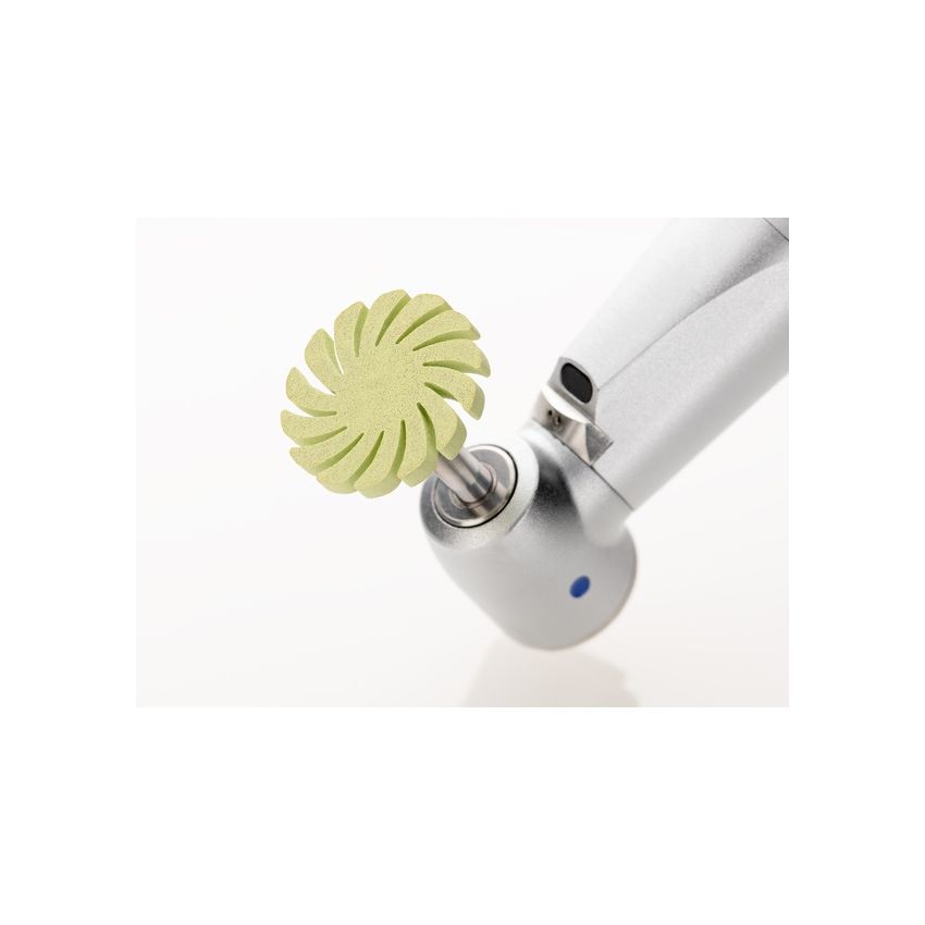 POLIDORES DIAGLOSS TWIST 