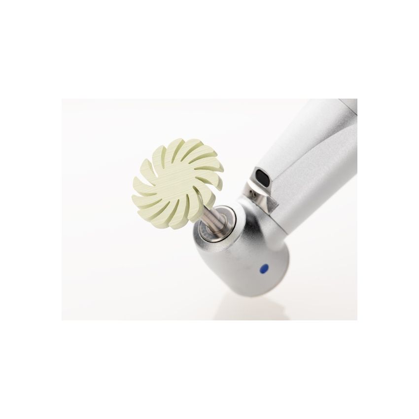 POLIDORES DIAGLOSS ALTO B